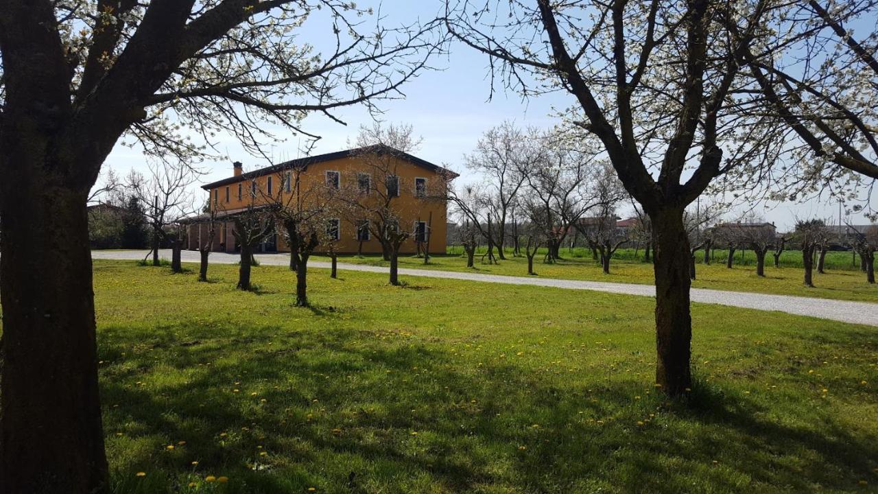 Agriturismo Borgo Borromeo 鲁巴诺 外观 照片